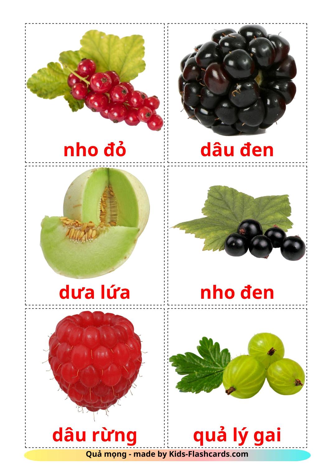Berries - 11 Free Printable vietnamese Flashcards 