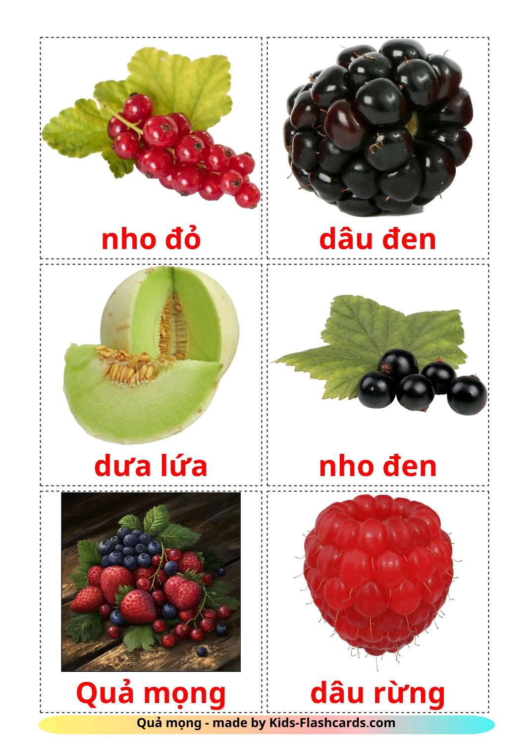 Frutti di bosco - 12 flashcards vietnamita stampabili gratuitamente