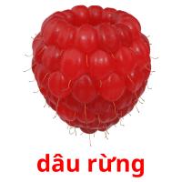 dâu rừng picture flashcards