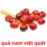 quả nam việt quất flashcards illustrate