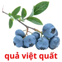 quả việt quất flashcards illustrate