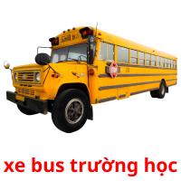 xe bus trường học picture flashcards