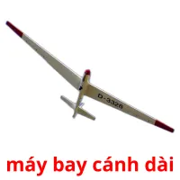 máy bay cánh dài Bildkarteikarten