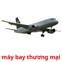 máy bay thương mại card for translate