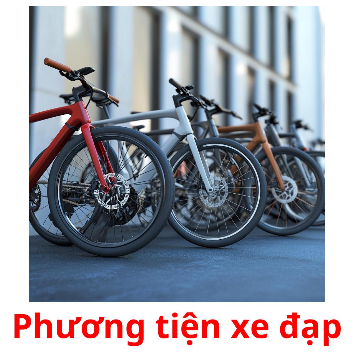 Phương tiện xe đạp Bildkarteikarten