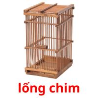 lống chim picture flashcards