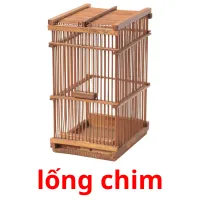 lống chim ansichtkaarten