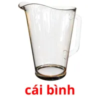 cái bình picture flashcards