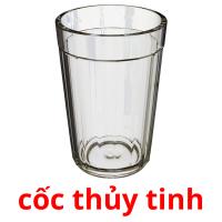 cốc thủy tinh picture flashcards