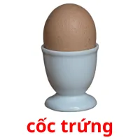 cốc trứng picture flashcards