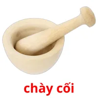 chày cối flashcards illustrate