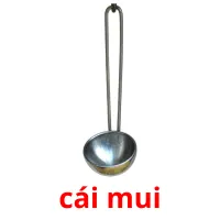 cái mui flashcards illustrate