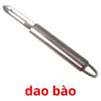 dao bào flashcards illustrate