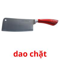 dao chặt picture flashcards
