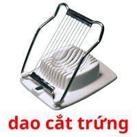 dao cắt trứng card for translate