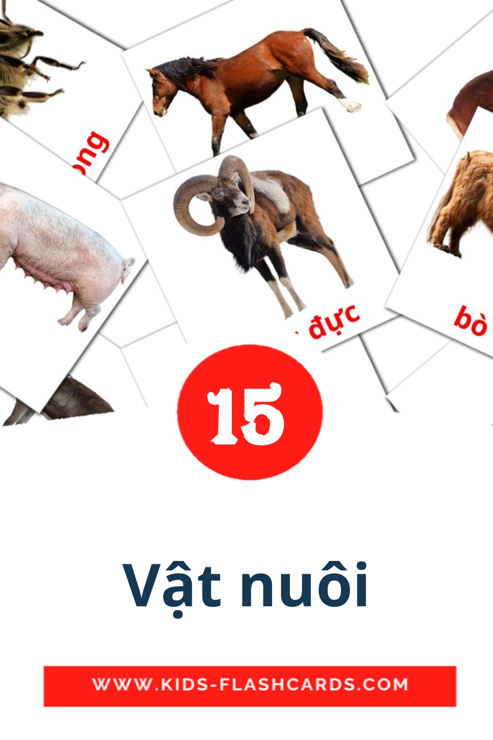 15 Free Farm animals Flashcards in vietnamese (PDF files)