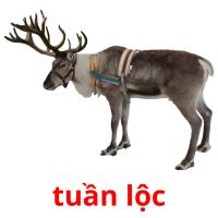 tuần lộc card for translate