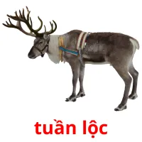 tuần lộc ansichtkaarten