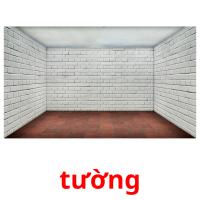 tường picture flashcards