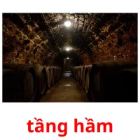 tầng hầm ansichtkaarten