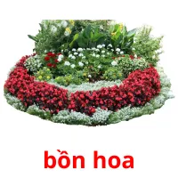 bồn hoa flashcards illustrate