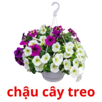 chậu cây treo flashcards illustrate