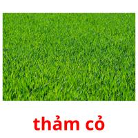 thảm cỏ picture flashcards