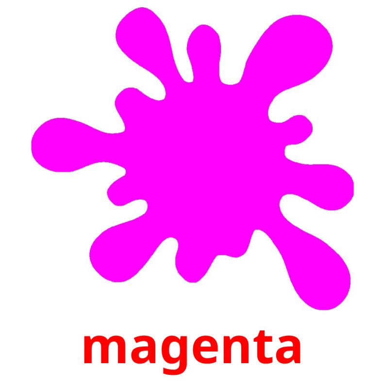 magenta picture flashcards