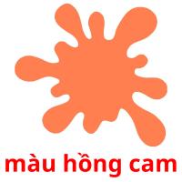 màu hồng cam picture flashcards