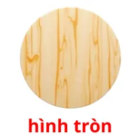 hình tròn flashcards illustrate