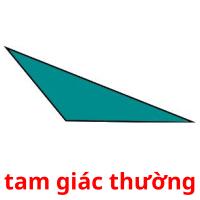 tam giác thường card for translate