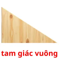 tam giác vuông flashcards illustrate