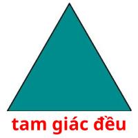tam giác đều card for translate