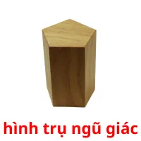 hình trụ ngũ giác picture flashcards