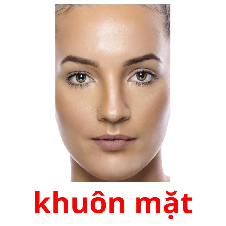 khuôn mặt picture flashcards