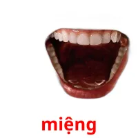 miệng Bildkarteikarten