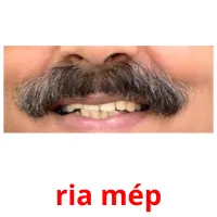 ria mép Bildkarteikarten