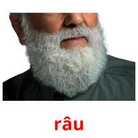 râu picture flashcards