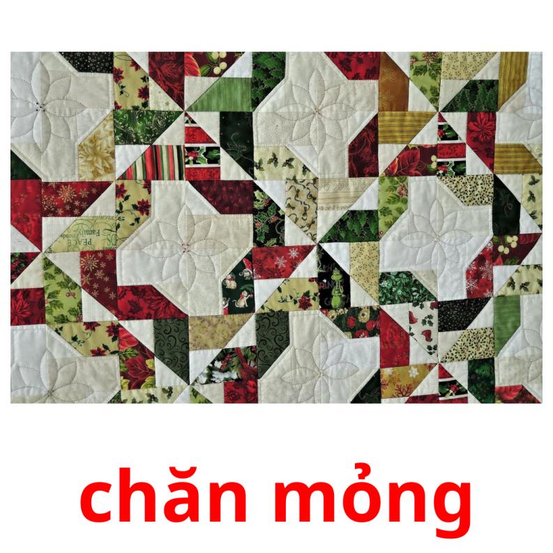 chăn mỏng picture flashcards