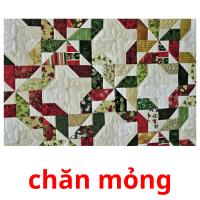 chăn mỏng picture flashcards