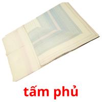 tấm phủ picture flashcards