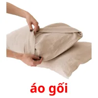 áo gối picture flashcards