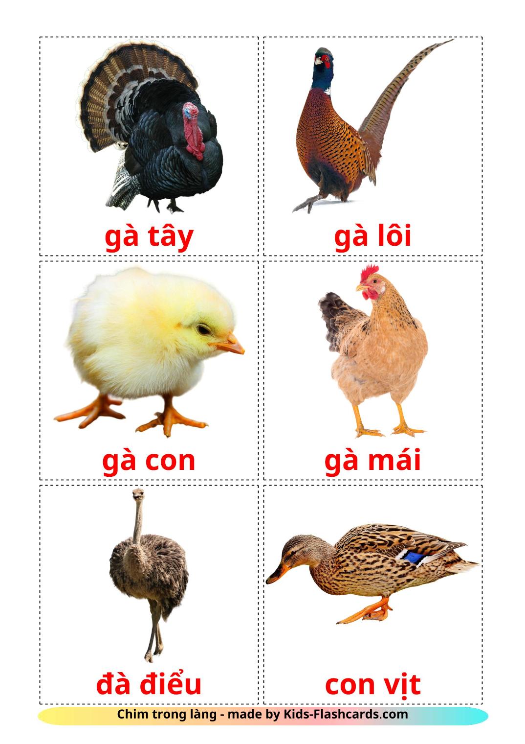 Farm birds - 11 Free Printable vietnamese Flashcards 