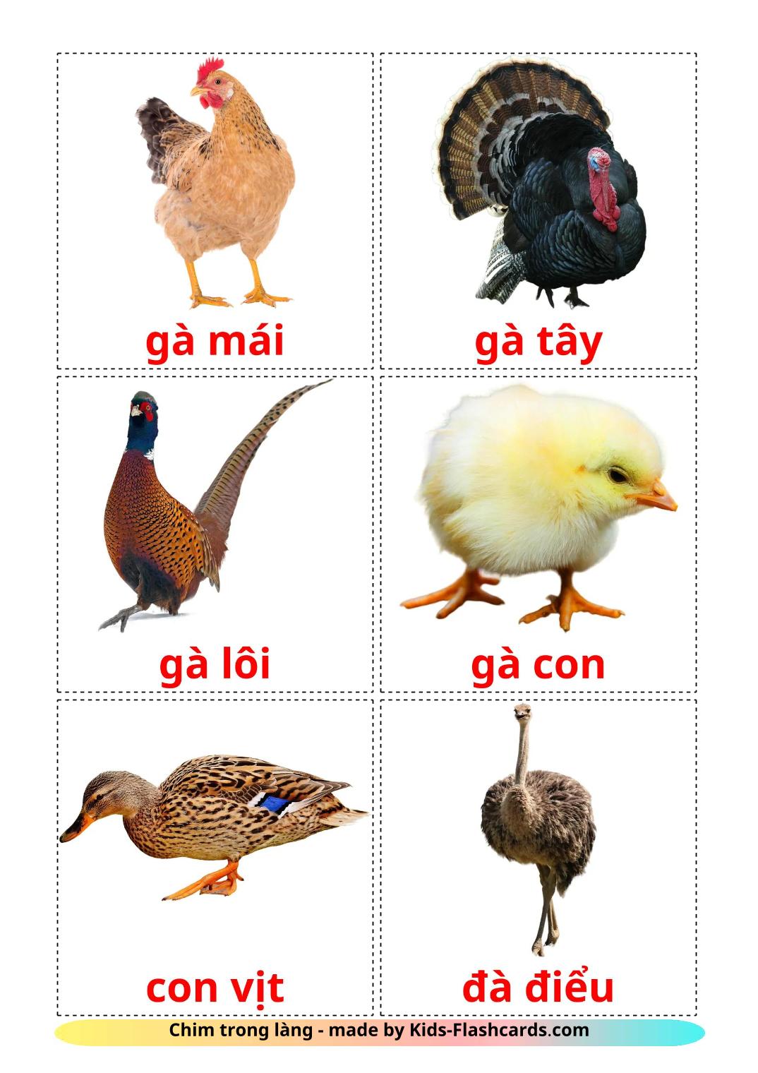 Farm birds - 12 Free Printable vietnamese Flashcards 