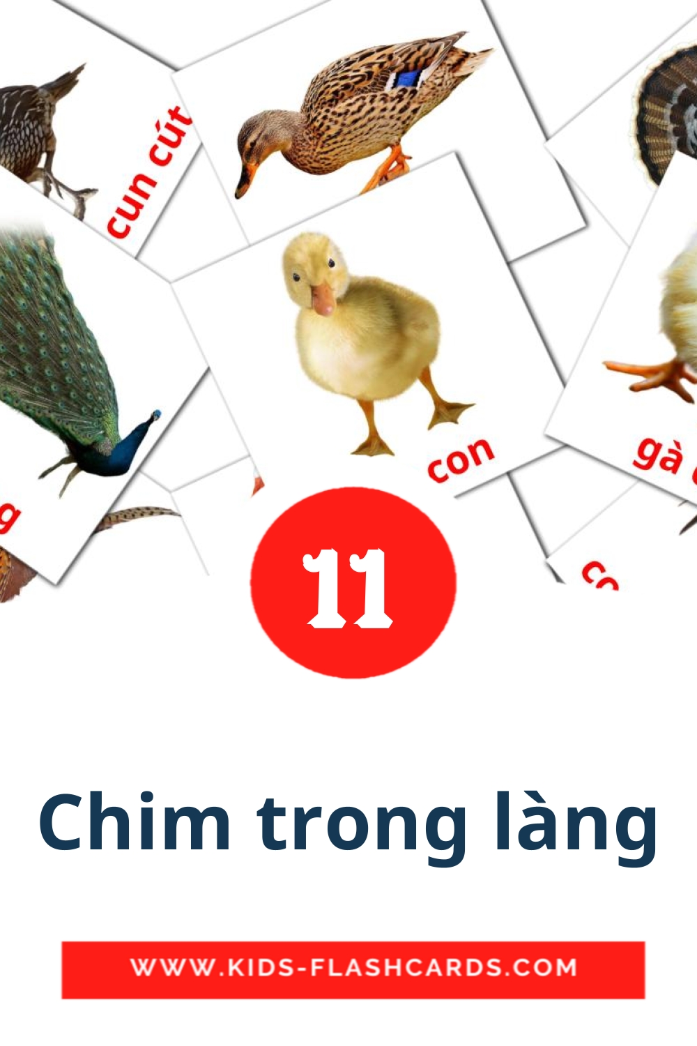 11 Chim trong làng Picture Cards for Kindergarden in vietnamese