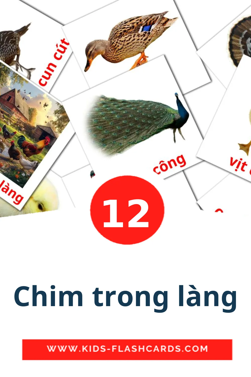 12 Chim trong làng Picture Cards for Kindergarden in vietnamese