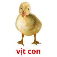 vịt con picture flashcards