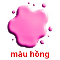 màu hồng Bildkarteikarten