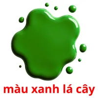 màu xanh lá cây Bildkarteikarten