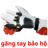 găng tay bảo hộ flashcards illustrate